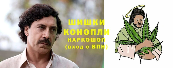 ПСИЛОЦИБИНОВЫЕ ГРИБЫ Алзамай