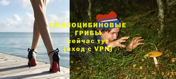 ECSTASY Алексеевка