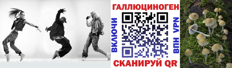 Псилоцибиновые грибы Psilocybine cubensis купить наркотик omg ссылка Бирюч